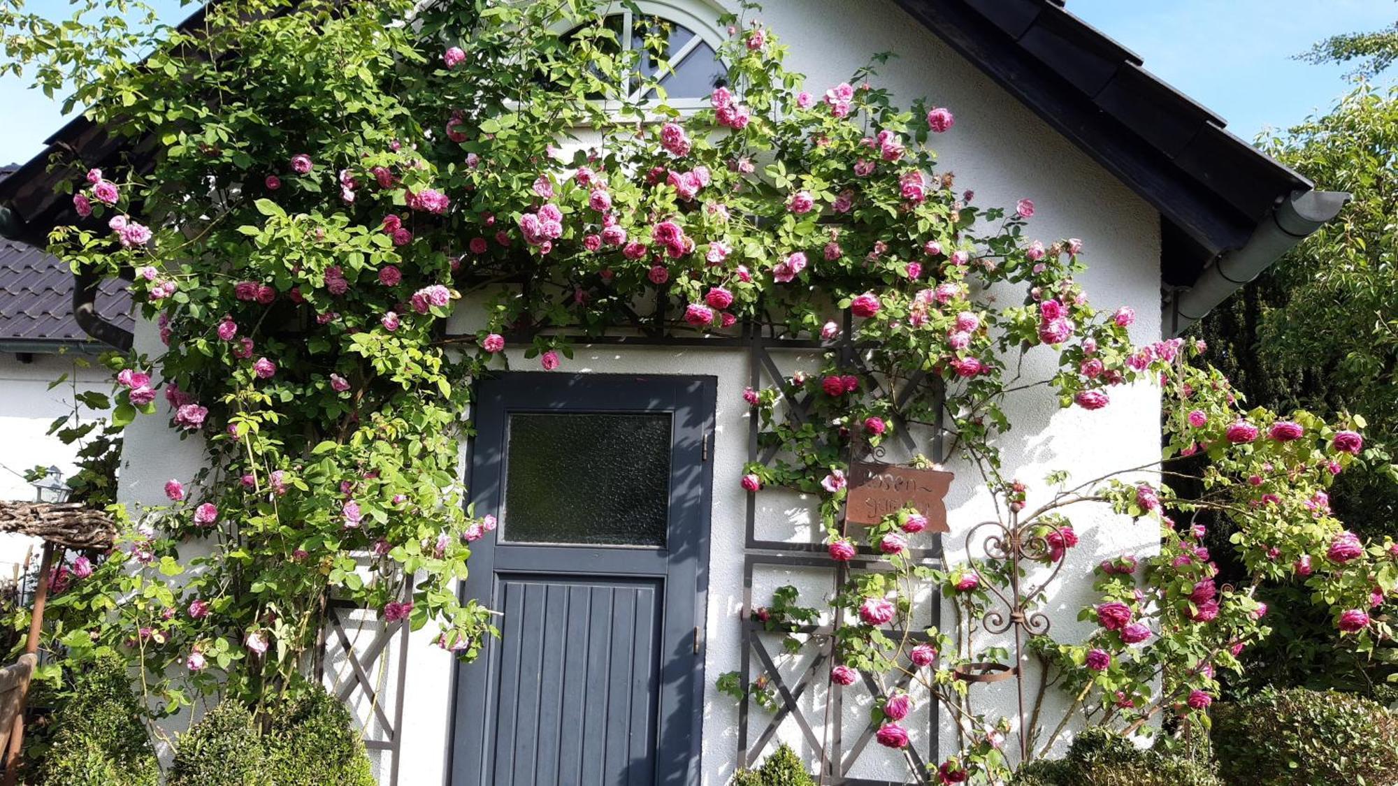 Tina'S Home ギュータースロー エクステリア 写真
